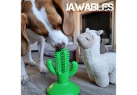 Ancol Jawables Cactus Toothbrush